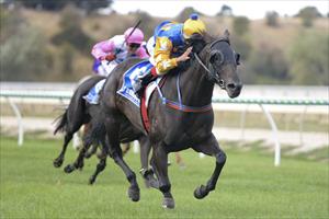 Bet You She Rocks wins at her first start for Matt Laurie Racing Bet You She Rocks wins at her first start for Matt Laurie Racing